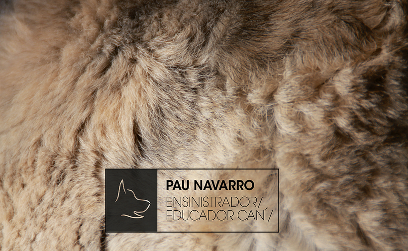 Nuevo proyecto -1