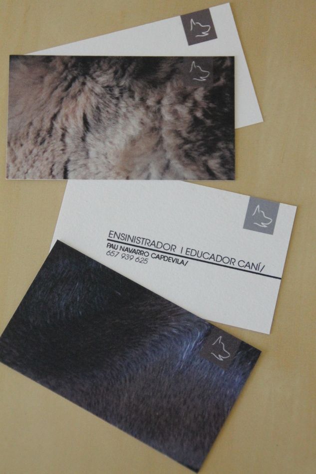 Nuevo proyecto -1