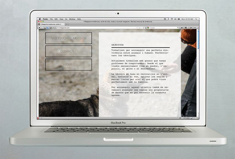 Nuevo proyecto -1