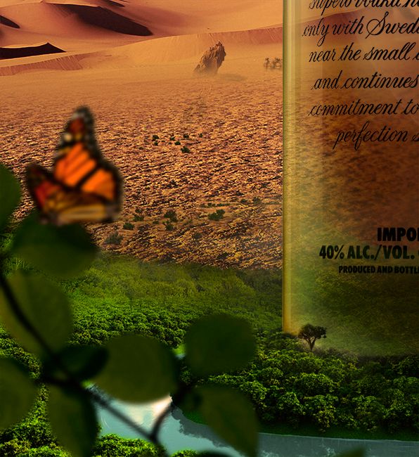 Absolut Bloom 1