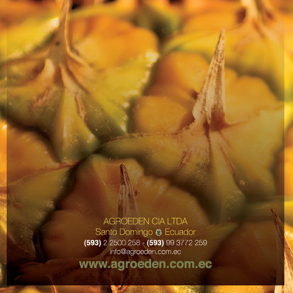 Agroeden Piñas 3