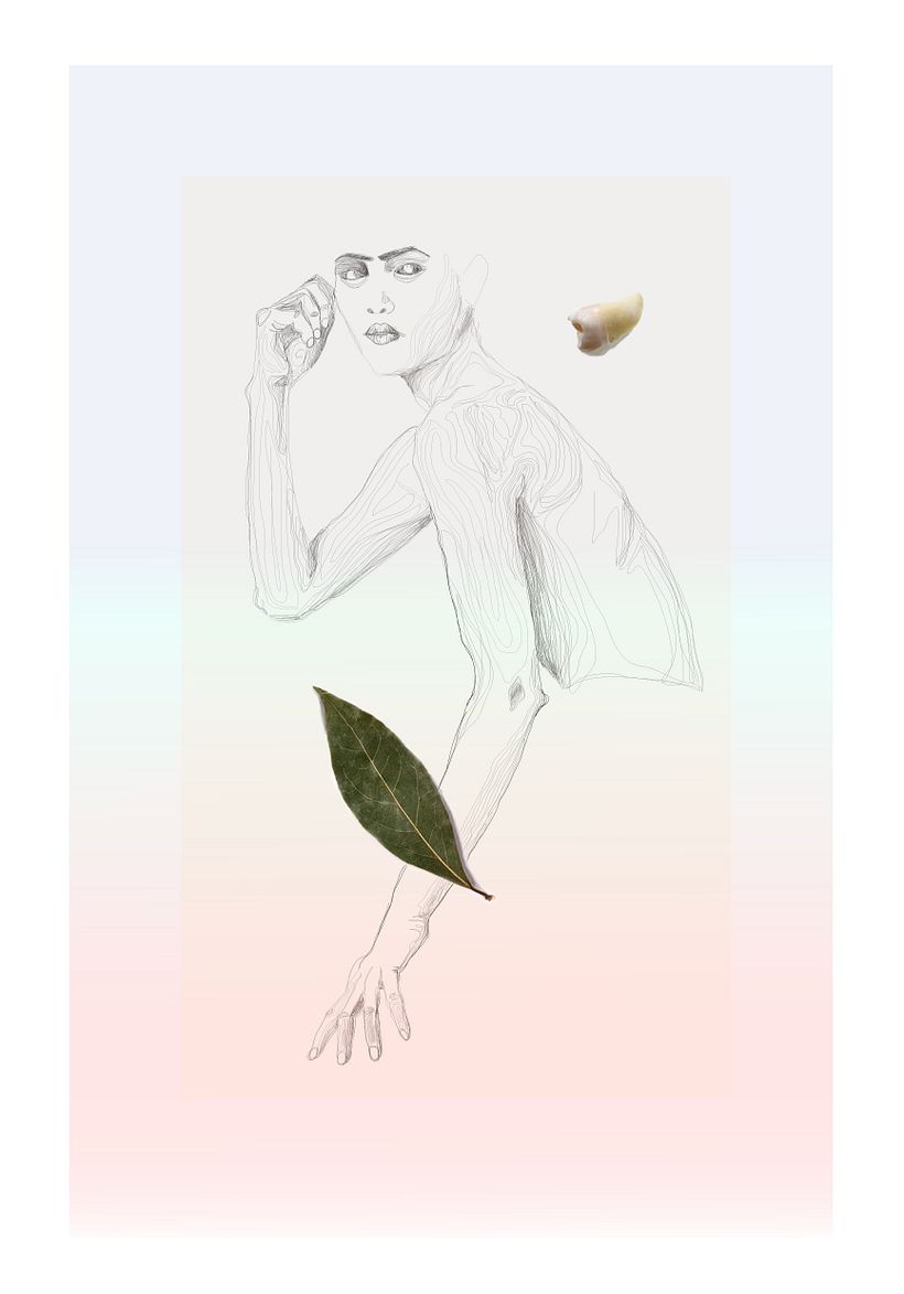Ilustraciones.  1