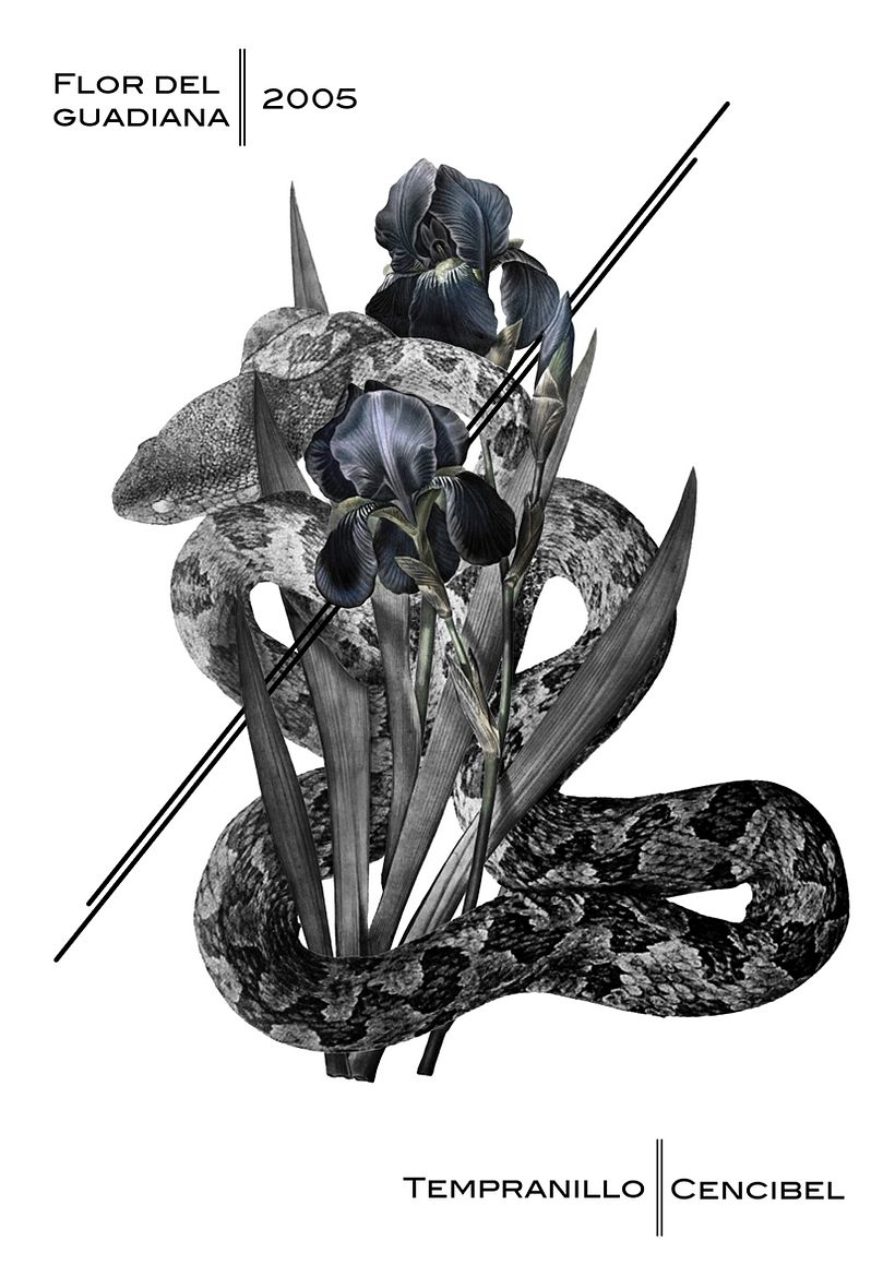 Abadía Negra y Flor del Guadiana D.O 2