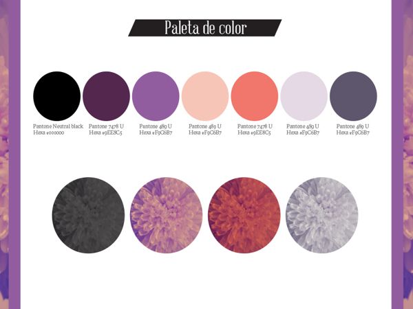 Basílica Branding 5