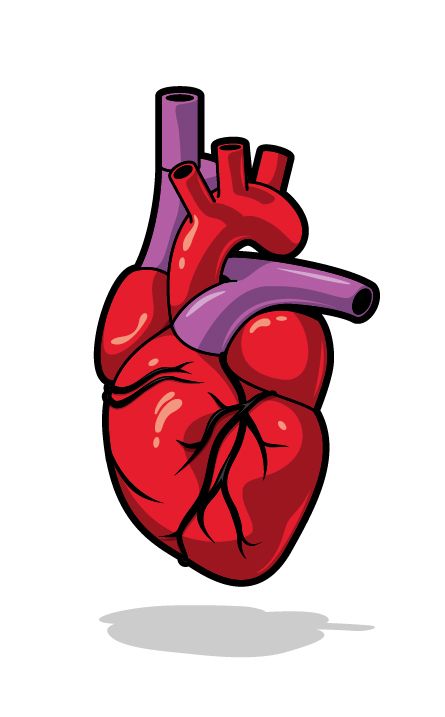 NEO Campaña Interna 8