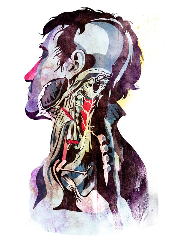 Anatomía -1