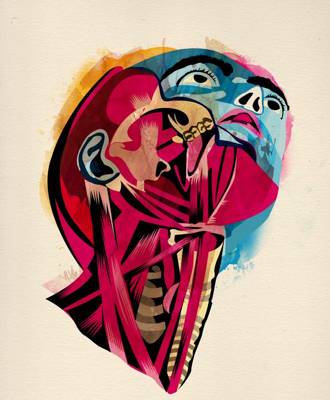 Anatomía 0