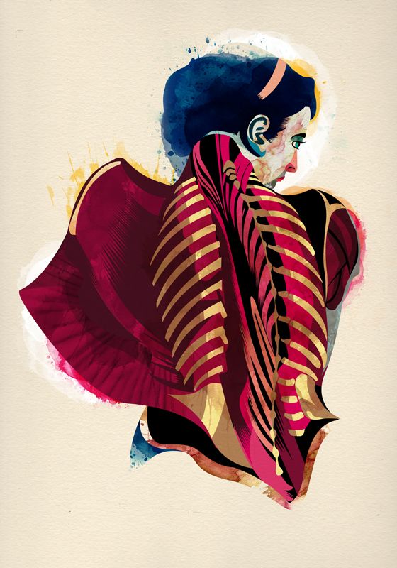 Anatomía 8