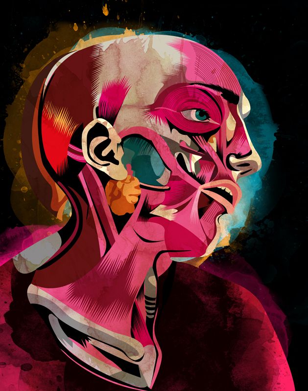 Anatomía 11