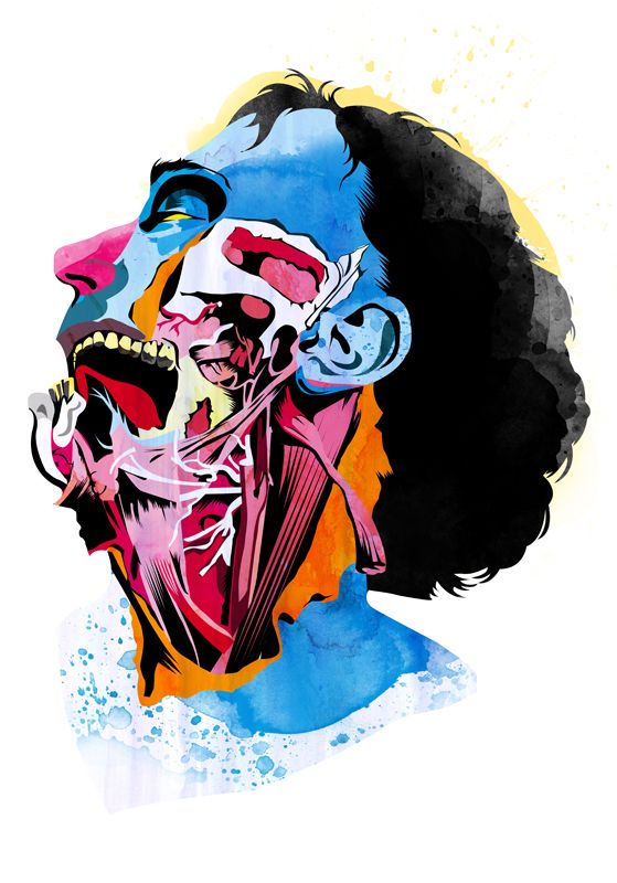 Anatomía 12
