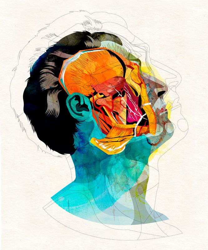 Anatomía 14