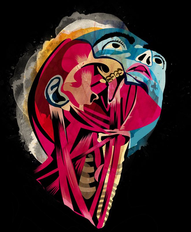 Anatomía 15