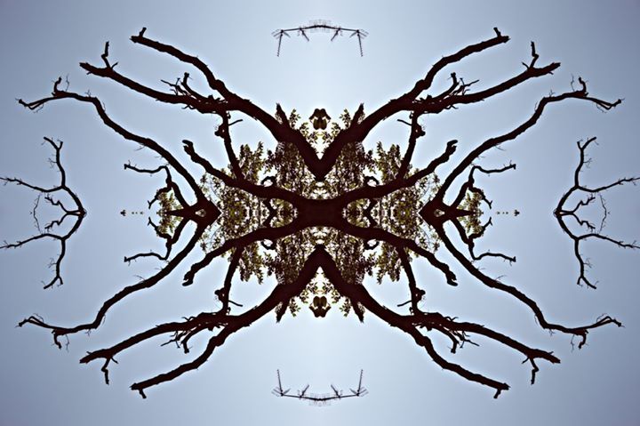 Abstract Geometric Forms  -1