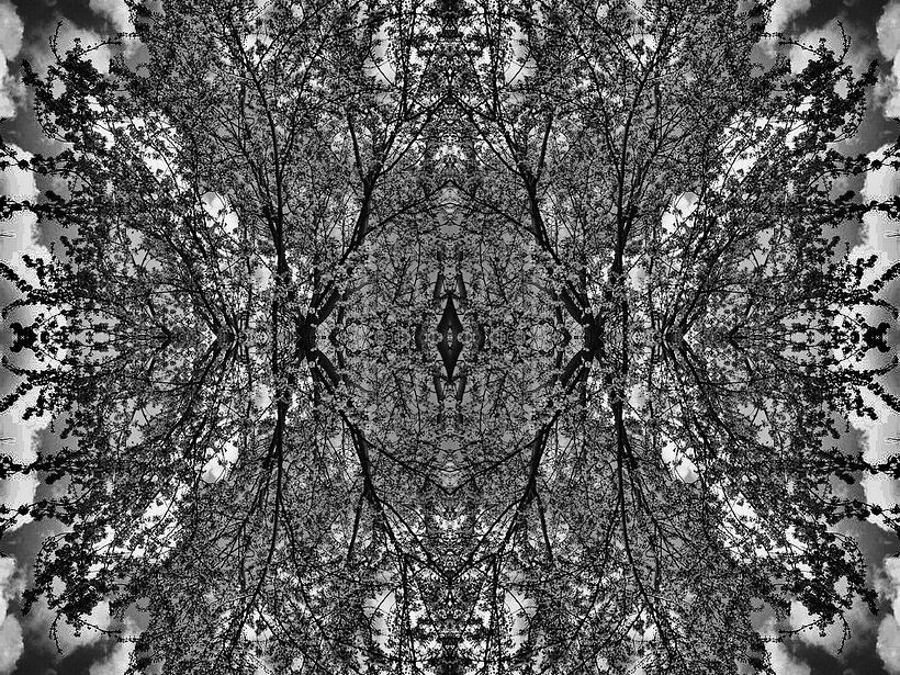 Abstract Geometric Forms  0