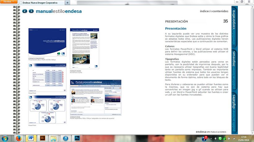 Manual Estilo Endesa 11