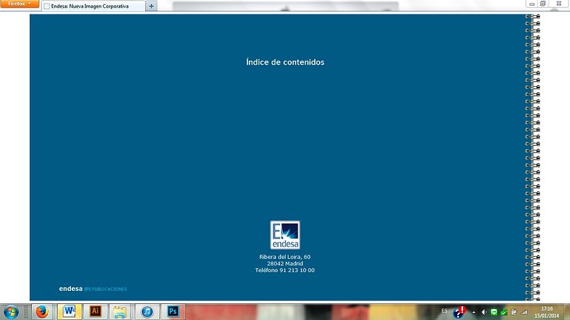 Manual Estilo Endesa 13
