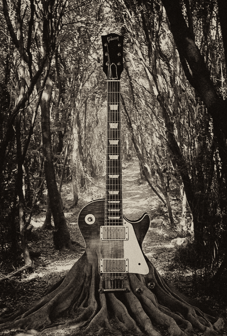 Music of Nature 0
