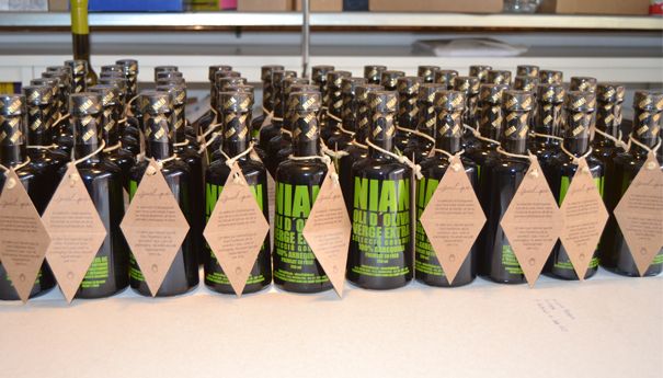 OIive Oil Packaging / Packaging Aceite de Oliva 3