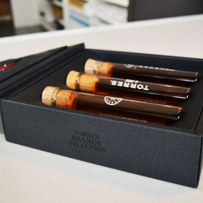 Packaging Torres Brandy  1