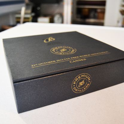 Packaging Torres Brandy  2