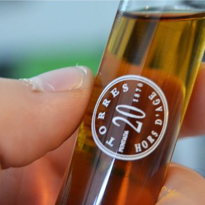 Packaging Torres Brandy  8