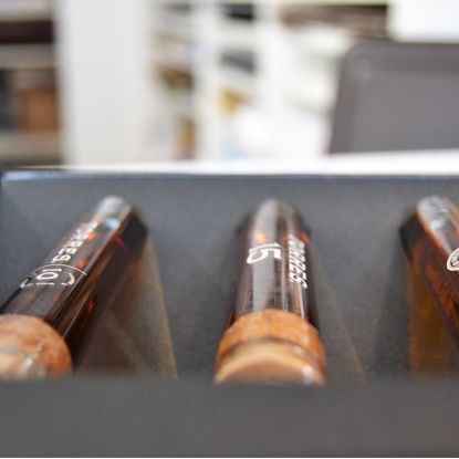 Packaging Torres Brandy  10