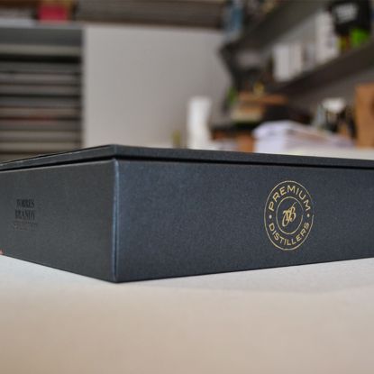 Packaging Torres Brandy  11