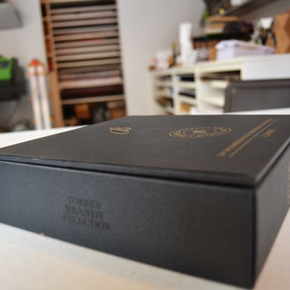 Packaging Torres Brandy  12