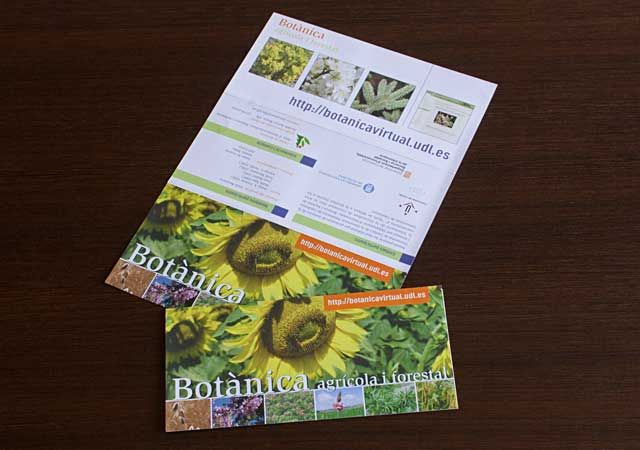 Botanica virtual -1