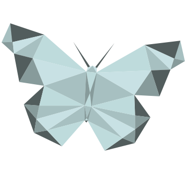 Shapes - Illustration traditionnelle