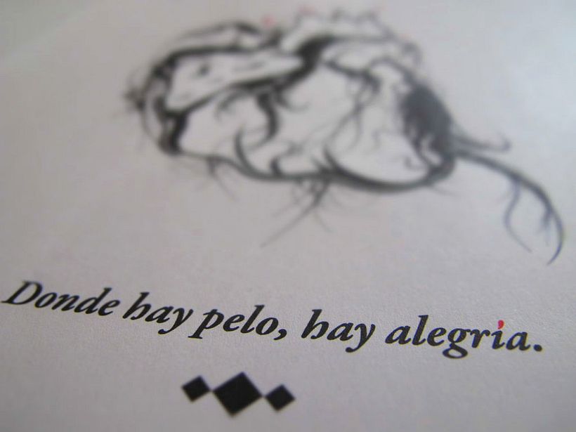 Donde hay pelo, hay alegría // Ilustración 2