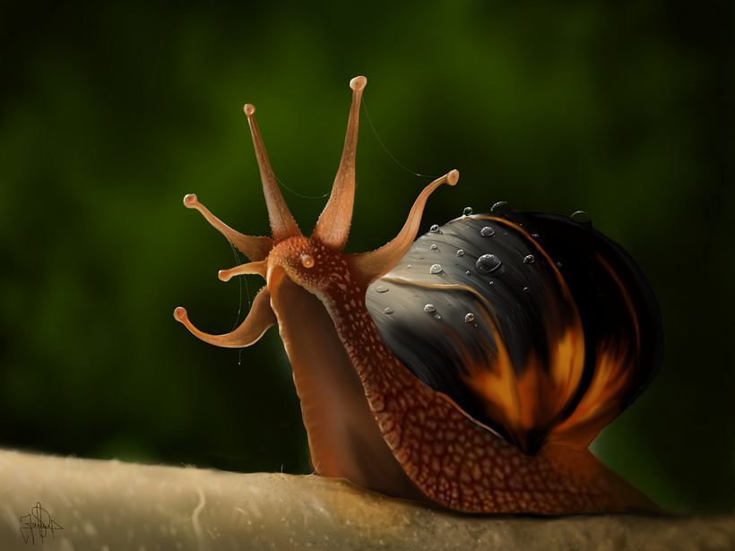 El caracol Rey - Pintura digital realizada con los dedos en el Ipad 12