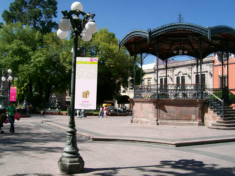 Campaña Publicitaria  5