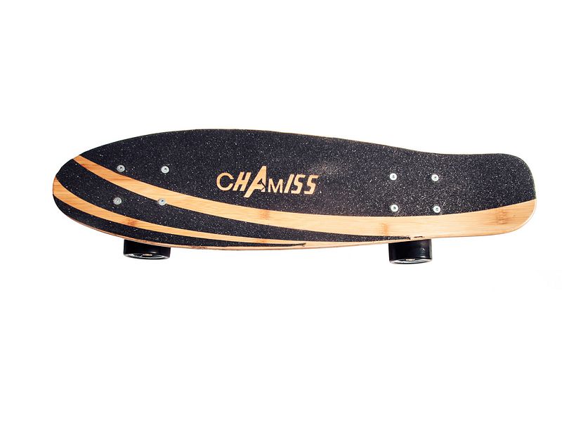 Chamiss longboard 2