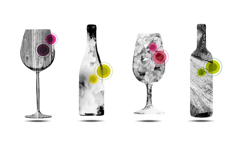DIVINOS & DIVINAS vinos con alma 2