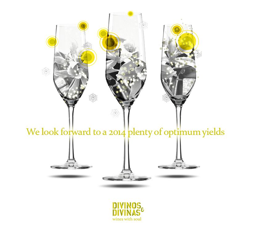 DIVINOS & DIVINAS vinos con alma 7
