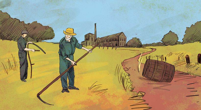 Storyboard | Cerveza Kozel 5