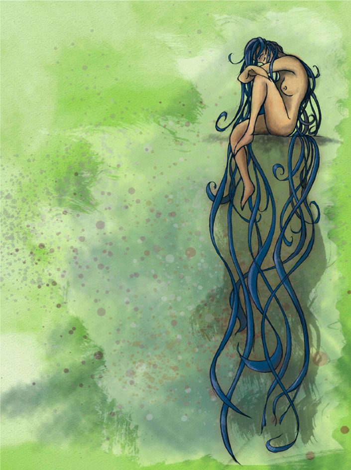 Ilustración 7