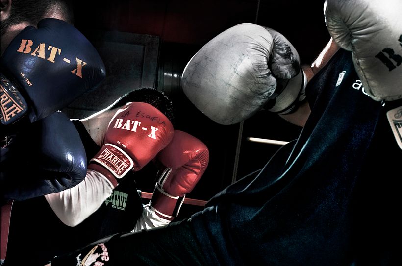 La Escuela de Boxeo 8