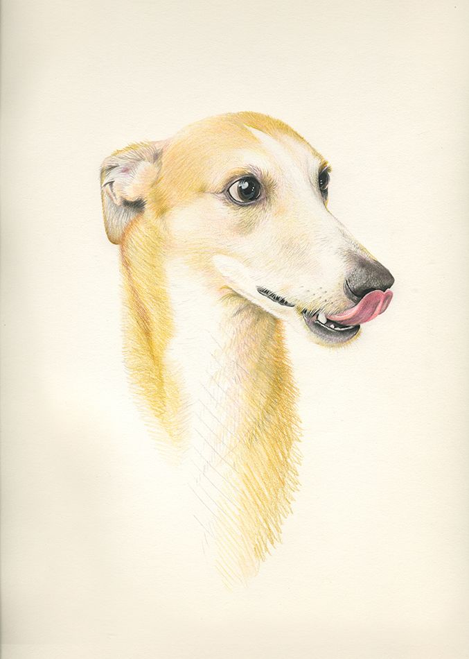 ANIMALARIO I 12