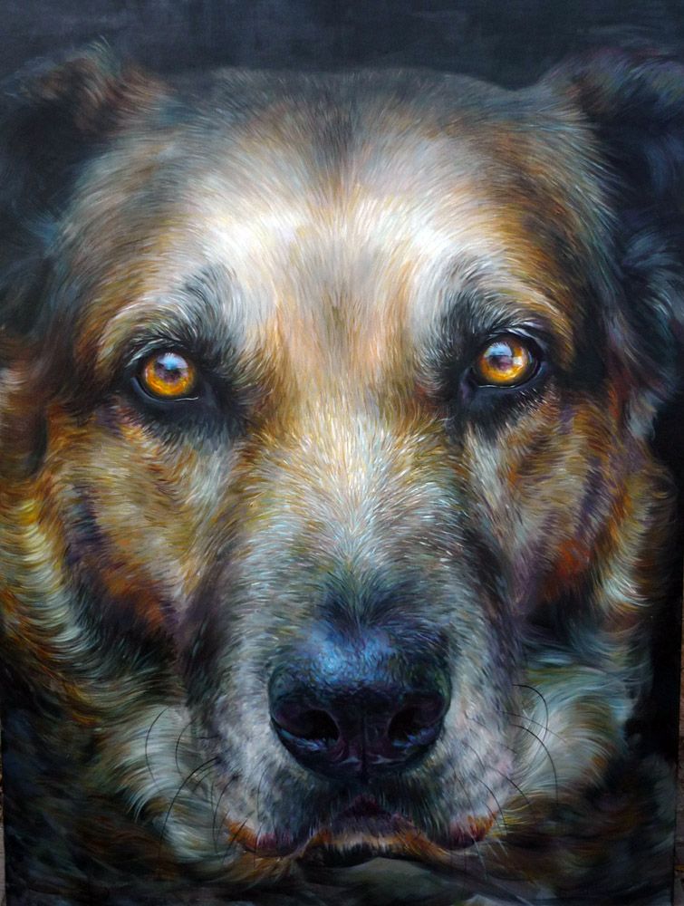 Serie de pinturas al óleo/acrílico 0