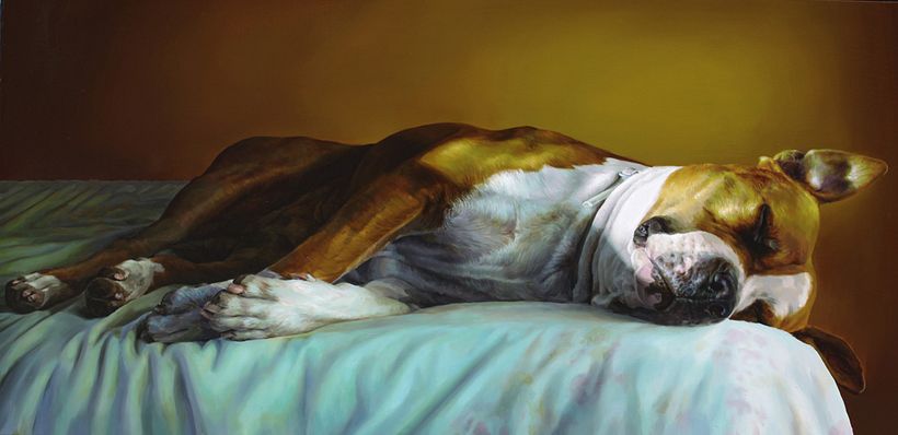 Serie de pinturas al óleo/acrílico 0