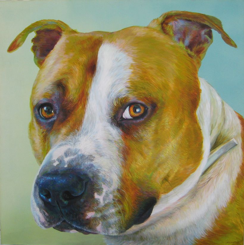 Serie de pinturas al óleo/acrílico 0