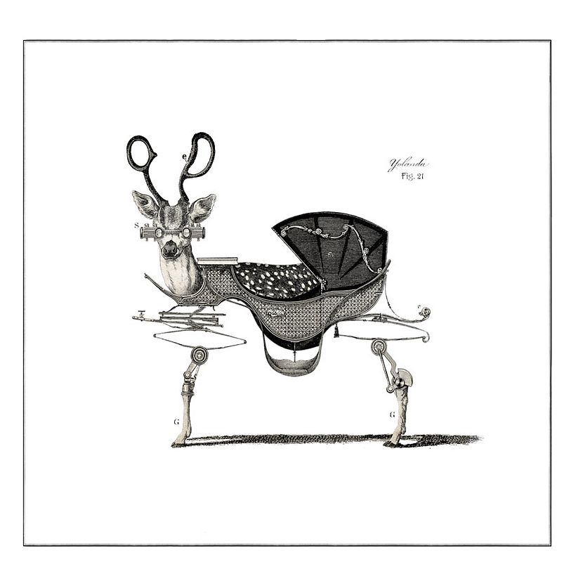 Monsterkompendium. Bestiario ilustrado 3
