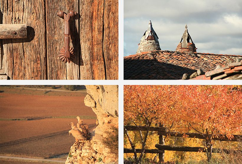 Sabinar Restaurant 2