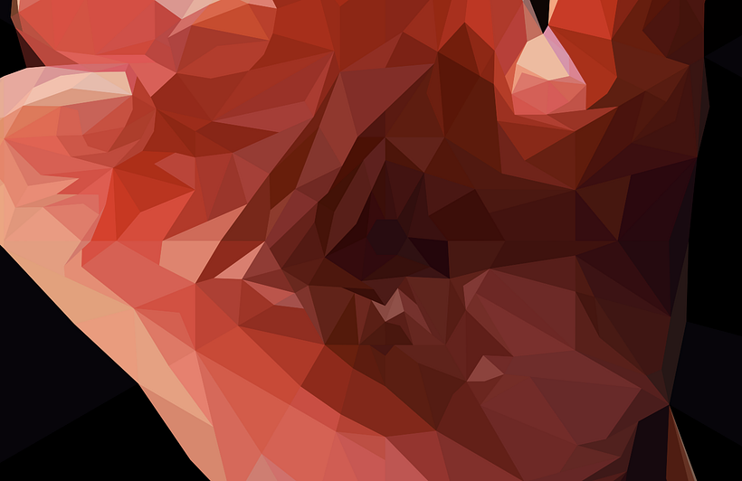 Geometric Lennart Nilsson 9