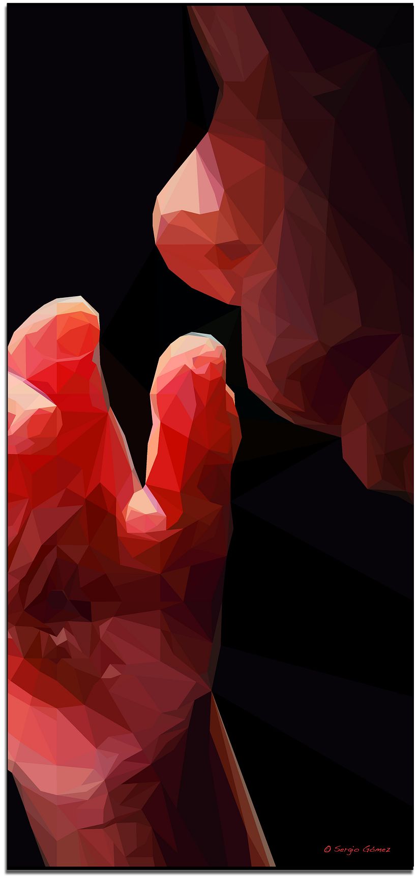 Geometric Lennart Nilsson 11