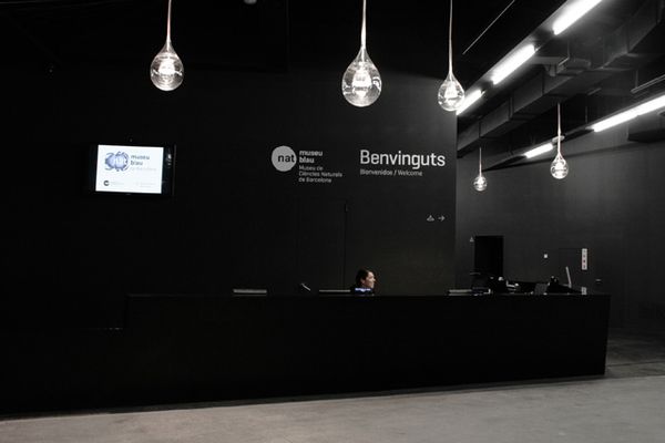 Nat - Museo de Ciencias Naturales de Barcelona 3