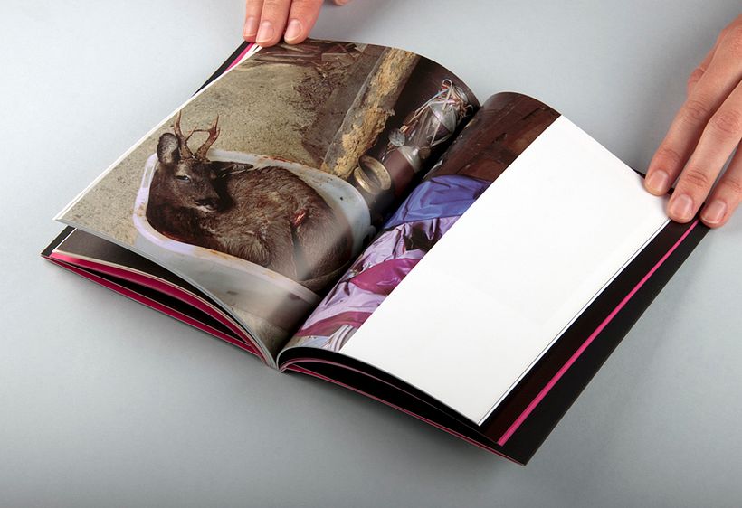 XXI Muestra de Artes 1