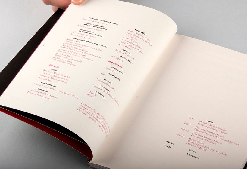 XXI Muestra de Artes 3